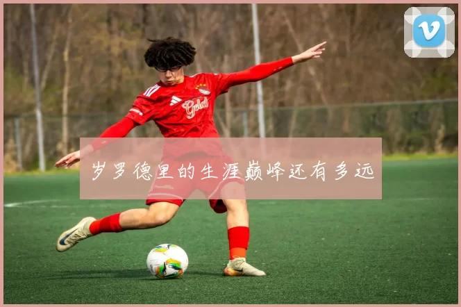 岁罗德里的生涯巅峰还有多远