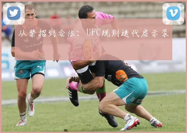 从禁招到合法：UFC规则迭代启示录
