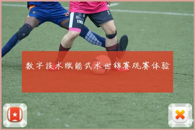 数字技术赋能武术世锦赛观赛体验