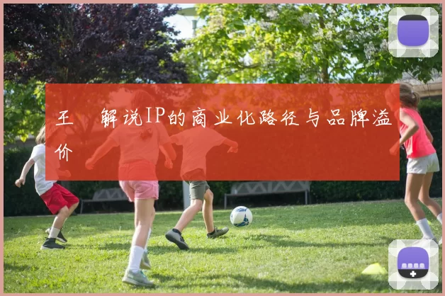 王濛解说IP的商业化路径与品牌溢价